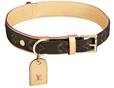 louis vuitton dog collars